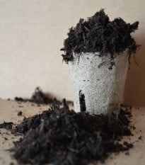 Špeciálny substrát - substrát na pestovanie semien paradajok, papriky, chilli - 200 g