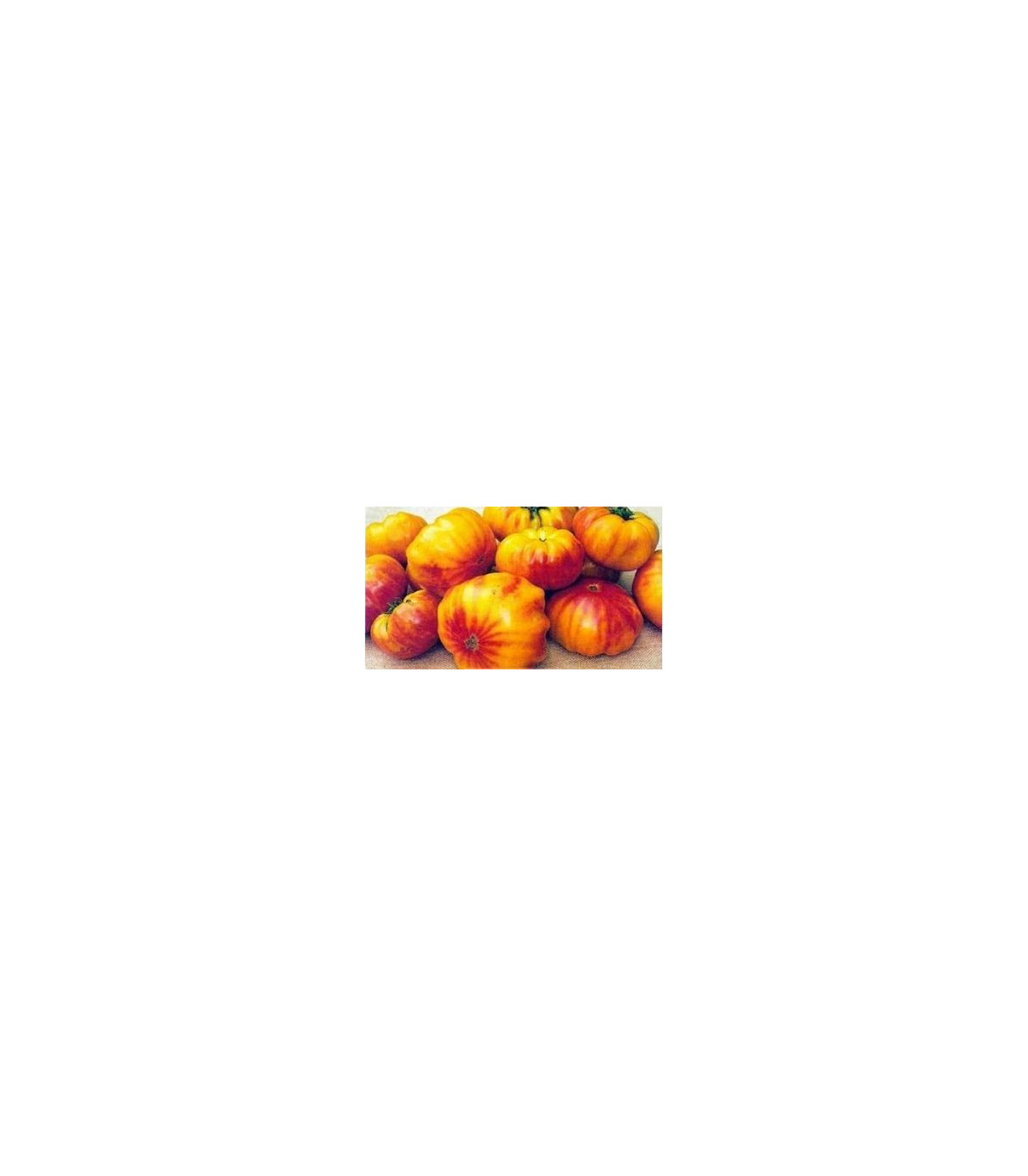Paradajka dvojfarebné-semená rajčiakov-6 ks