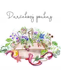 Vianočná poukážka v hodnote 75 €