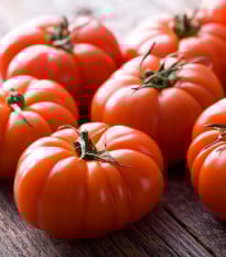 Paradajka Buffalosteak F1 - Solanum lycopersicum - semená paradajok - 6 ks