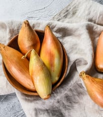 Cibuľa šalotka Longor - Allium cepa - cibuľky - 10 ks