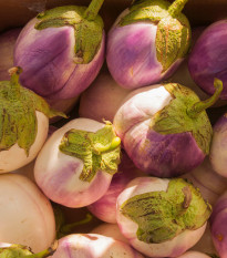 BIO Baklažán Rosa Bianca - Solanum melongena - semená baklažánu - 20 ks