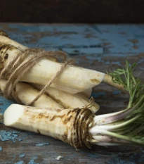 Sedliacky chren - Armoracia rusticana - koreňový rez na sadenie - 1 ks