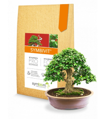 Symbivit Bonsai - mykoríza pre bonsaje - 150 g