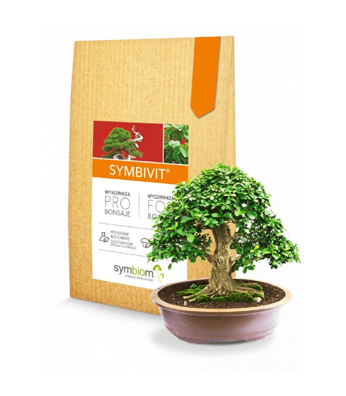 Symbivit Bonsai - mykoríza pre bonsaje - 150 g
