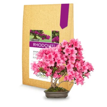 Rhodovit - mykoríza pre bonsaje - 100 g