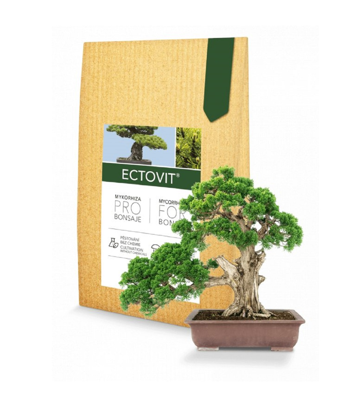 Ectovit Bonsai - mykoríza pre bonsaje - 100 g