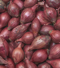 BIO Cibuľa Red Baron - Allium cepa - semená cibule - 100 ks