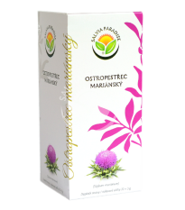 Pestrec mariánsky - Silybum marianum - čajové vrecúška - 20 x 3 g