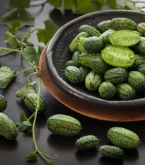 BIO Mexická miniuhorka - Melothria scabra - semená uhorky cucamelon - 5 ks