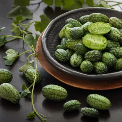 BIO Mexická miniuhorka - Melothria scabra - semená uhorky cucamelon - 5 ks