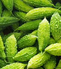 Horká uhorka Naja - Momordica sp. - semená uhorky - 6 ks