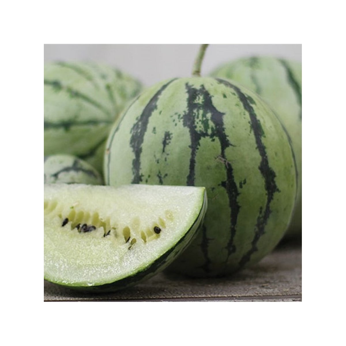 Vodný Melón Saskatchewan - Citrullus lanatus - semená melónu - 6 ks