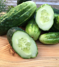 BIO Uhorka Liefje - Cucumis sativus - bio semená uhorky - 10 ks