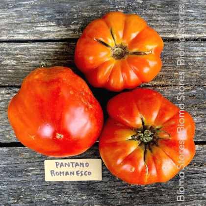 Paradajka Pantano Romanesco - Solanum lycopersicum - semená paradajky - 7 ks