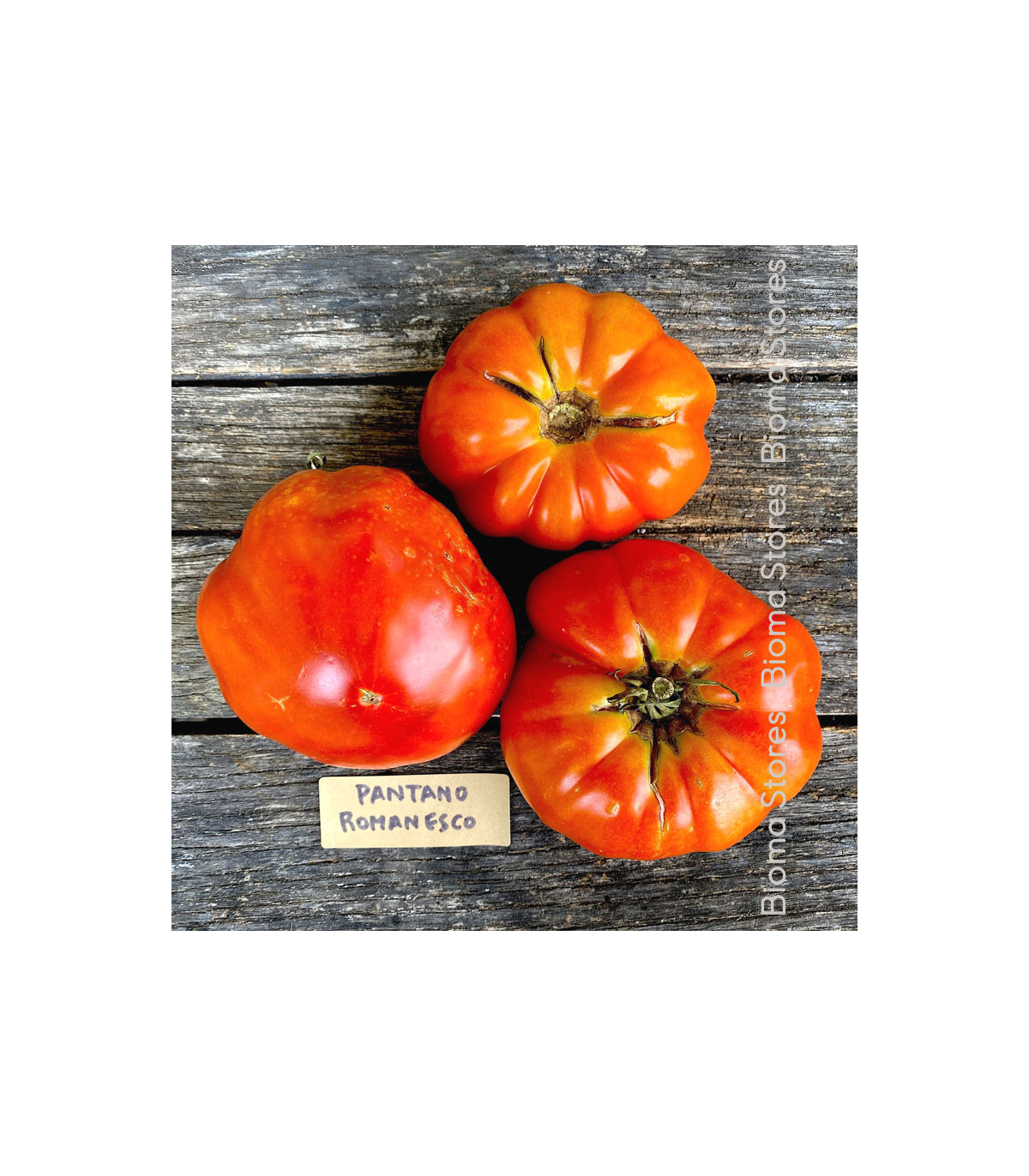 Paradajka Pantano Romanesco - Solanum lycopersicum - semená paradajky - 7 ks