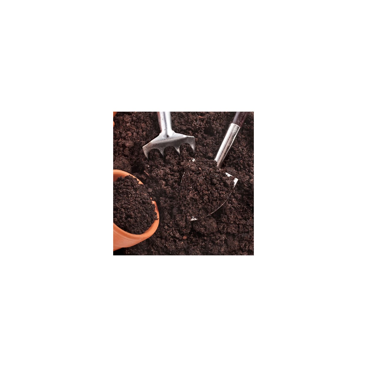 Substrát pre izbové rastliny - špeciálny substrát - 100 g