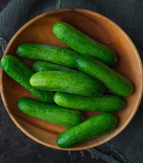 Uhorka šalátová Baby F1 - Cucumis sativus - semená uhorky - 10 ks