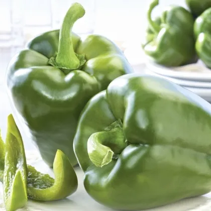 Paprika Beluga green F1 - Capsicum annuum - semená papriky - 5 ks
