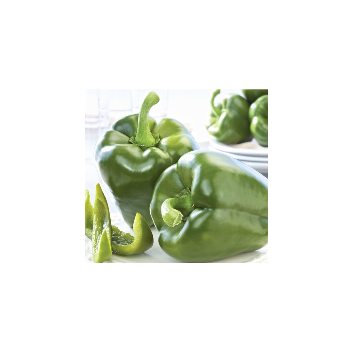 Paprika Beluga green F1 - Capsicum annuum - semená papriky - 5 ks