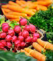 Semená mrkvy a reďkovky - výsevný pásik - 5 m
