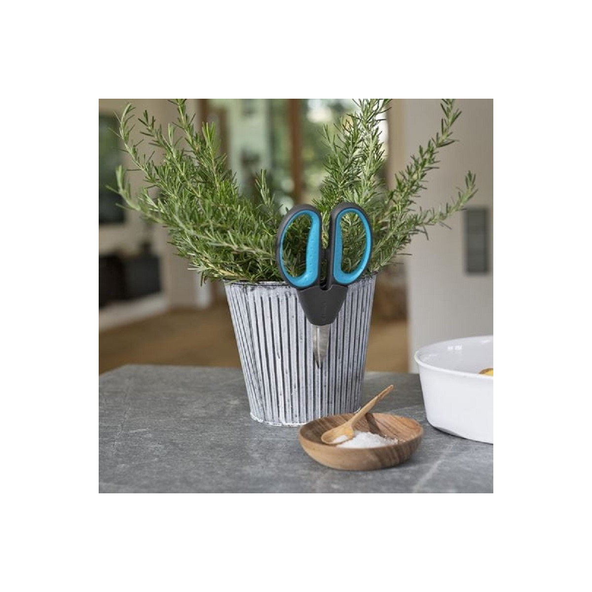 Nožnice HerbCut - súprava - 1 ks