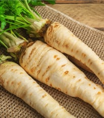 Petržlen Konika - Petroselinum crispum - semená petržlenu - 700 ks