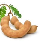 Ostatné plodiace stromy