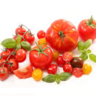 Najpredávanejšie odrody paradajok