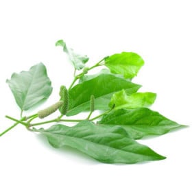 Koreniny