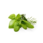 Ostatné aromatické korenie