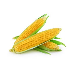 Kukurice