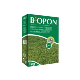Burina