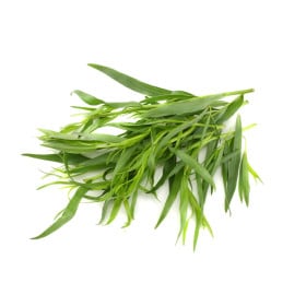 Palina