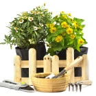 Výber pre aktuálne obdobie