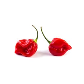 Chilli veľmi štipľavé
