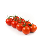 Koktejlové paradajky