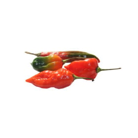 Chilli extra štipľavé