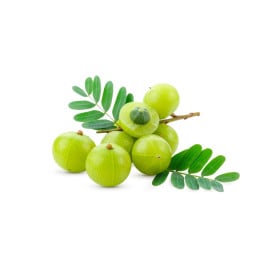Ostatné exotické plody