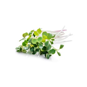 Mikrozelenina - microgreen