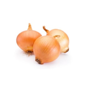 Svetlá cibuľa