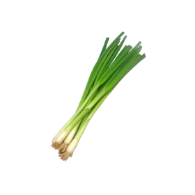Jarná cibuľka