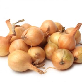 BIO cibuľa