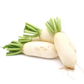 BIO Reďkev