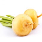 Ostatné BIO koreňová zelenina