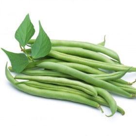 BIO Fazuľa