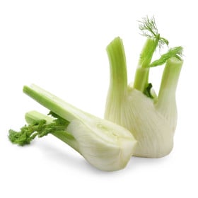BIO Fenikel