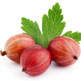 Egreš