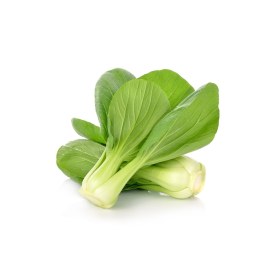 Čínska kapusta a Pak Choi