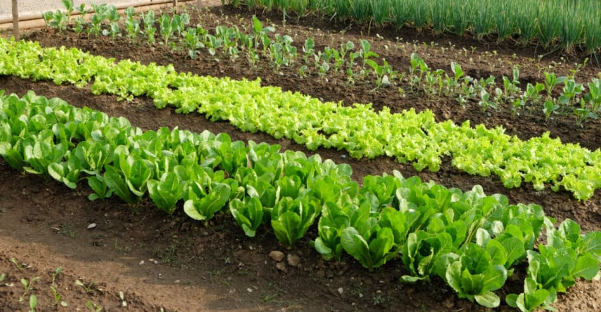 Jar je tu. Čo robiť na záhrade?